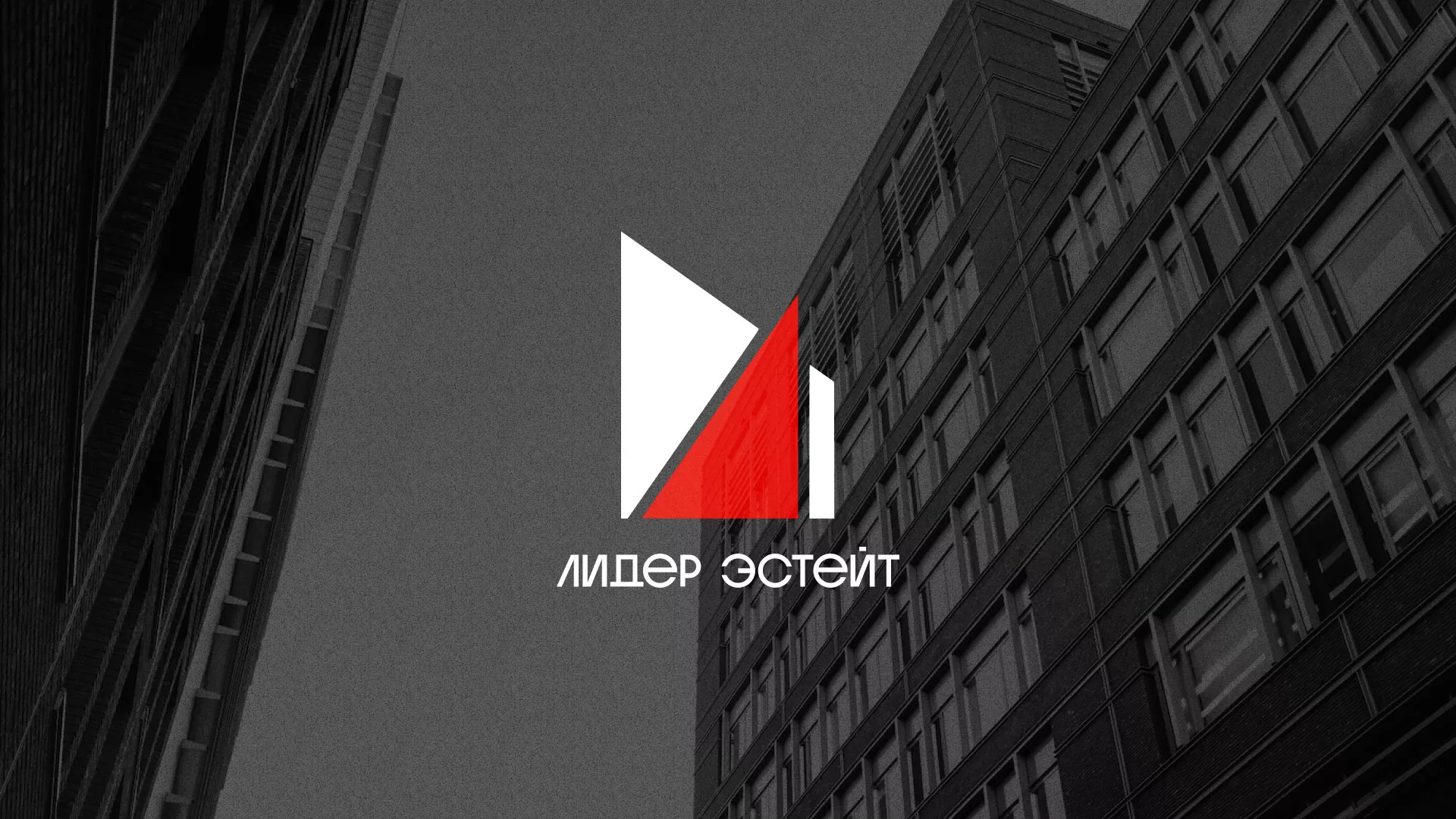 Сделали логотип для агентства недвижимости «Лидер Эстейт» в Нижних Сергах
